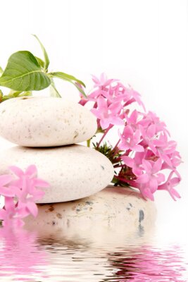 Sticker  Rilassamento e Bagni Termali