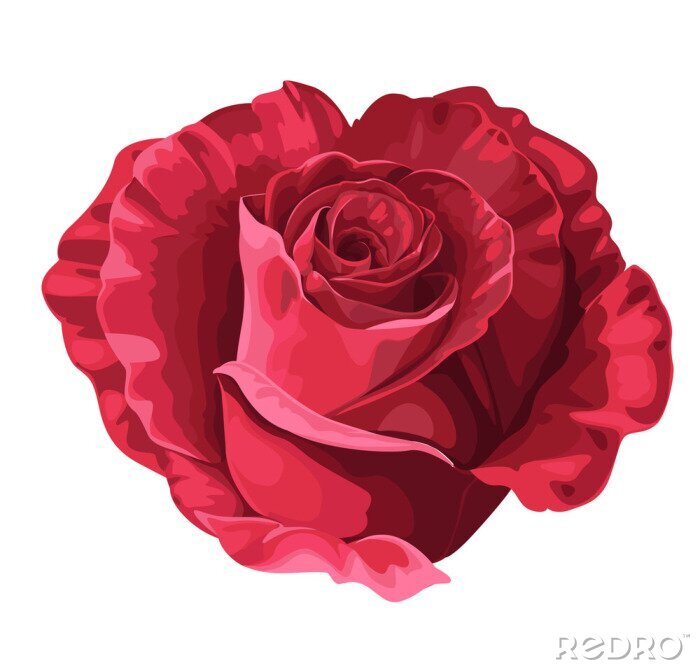 Sticker  Rose rouge peinte avec des peintures