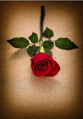 Sticker  Rose rouge sur fond doré