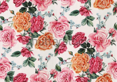 Sticker  Roses anglaises en plusieurs couleurs