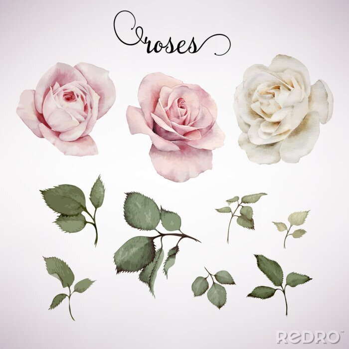 Sticker  Roses et feuilles vertes