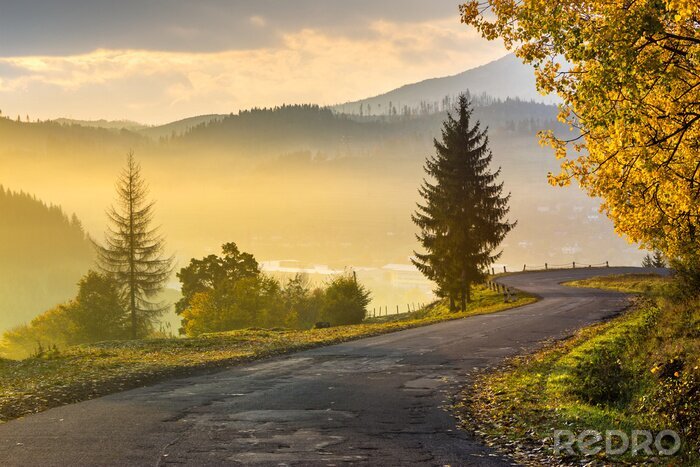 Sticker  Route de montagne le matin