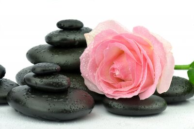 Sticker  Róża na kamieniach faire spa