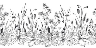 Sticker  Seamless horizontal background with wild herbs and flowers.