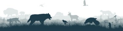 Sticker  Seamless panorama of the prarie with grey wolf, pronghorn, kite, bobcat, fox,  western meadowlark , heron, scissor-tailed Flycatcher, Prairie dog and brown zubr buffalo bison