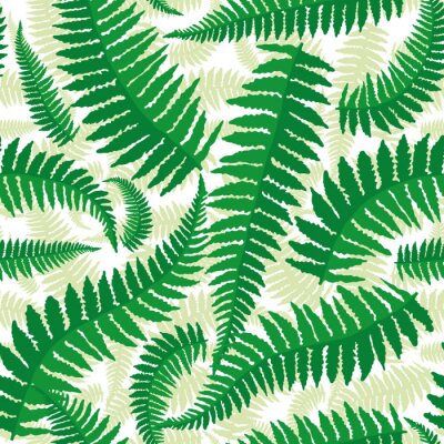 Sticker  Seamless pattern with leaves of fern on a white background.