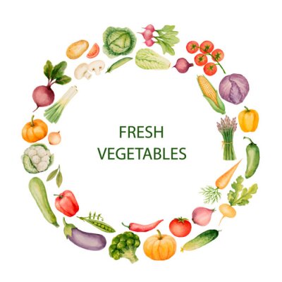 Sticker  Set de légumes à l'aquarelle.