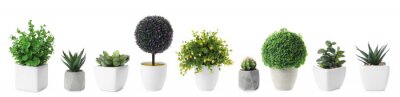 Sticker  Set of artificial plants in flower pots isolated on white. Banner design