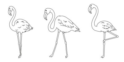Sticker  set of cartoon flamingos black lines silhouettes, cute wild tropical bird for kids coloring book, decoration, editable vector illustration