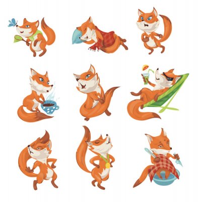 Sticker  Set of cute colorful fox character in different actions