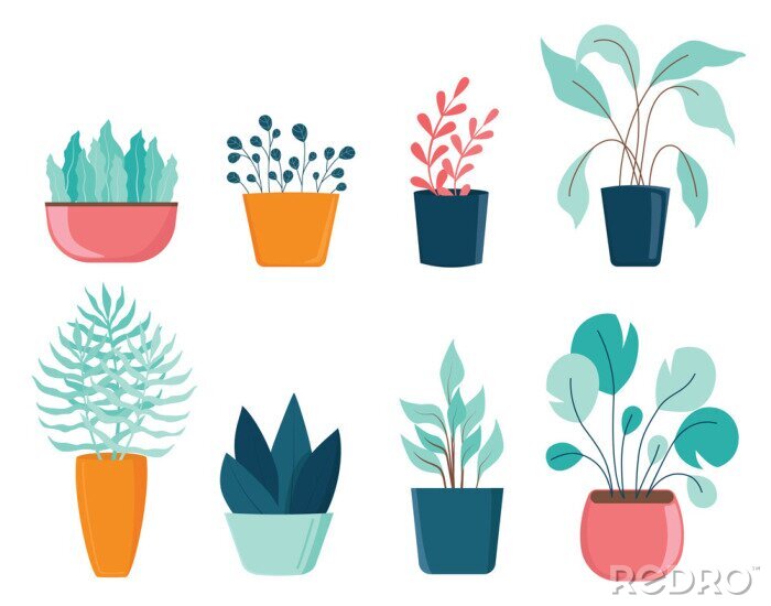 Sticker  Set of different house plants with green leaves in pots.