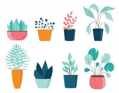 Sticker  Set of different house plants with green leaves in pots.