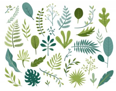 Sticker  Set of different tropical and other isolated green leaves. Palm, banana leaf, hibiscus, plumeria, split leaf, philodendron. Jungle collection for your design.Vector illustration.