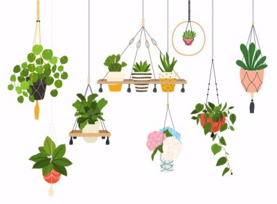 Sticker  Set of macrame hangers for plants growing in pots. Flowerpot isolated objects, houseplant flower pot collection.