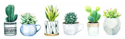 Sticker  Set of six potted cactus plants and succulents