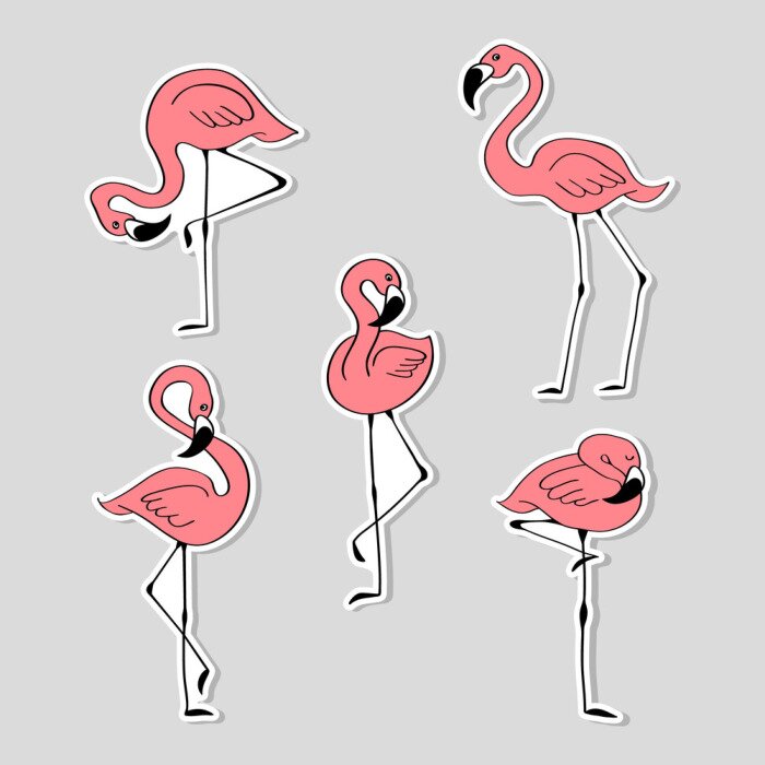 Sticker  Set of stickers with hand drawn pink flamingo. Collection of labels with cute cartoon birds isolated on grey background. Vector illustration.