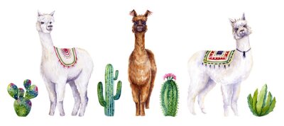 Sticker  Set of watercolor alpacas and cactus. Colorful illustration isolated on white. Hand painted animals and plants perfect for card making, wallpaper, fabric textile, interior design