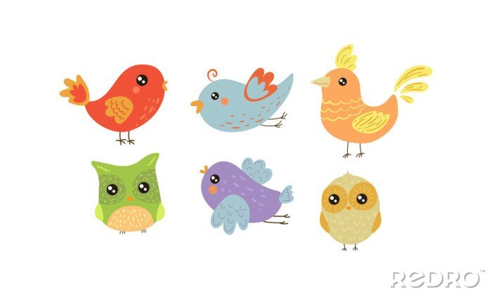 Sticker  Set Vector plate d'oiseaux colorés. Belles créatures avec de petites ailes. Thème de la faune