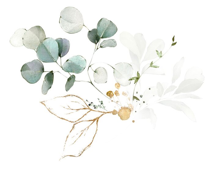 Sticker  Set watercolor arrangements with garden herbs. collection leaves, branches. Botanic illustration isolated on white background.