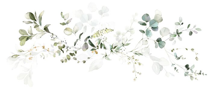Sticker  Set watercolor arrangements with garden herbs. collection pink flowers, leaves, branches. Botanic illustration isolated on white background.