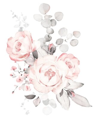 Sticker  Set watercolor pink  flowers, garden roses, peonies. collection leaves, branches. Botanic illustration isolated on white background.