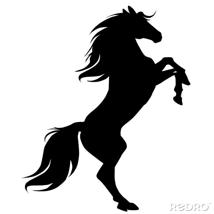 Sticker  Silhouette de cheval
