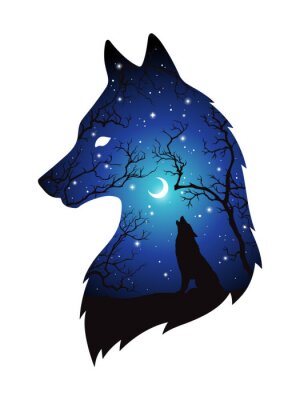 Sticker  Silhouette de double exposition de loup dans la forêt de nuit, ciel bleu avec croissant de lune et étoiles isolées. Autocollant, impression ou tatouage illustration vectorielle de conception. Totem pa