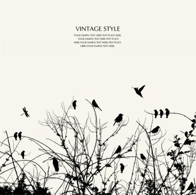 Sticker  Silhouettes de buissons et d'oiseaux sur fond blanc