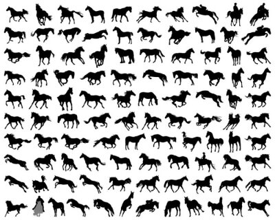 Sticker  Silhouettes de chevaux dans diverses poses graphiques