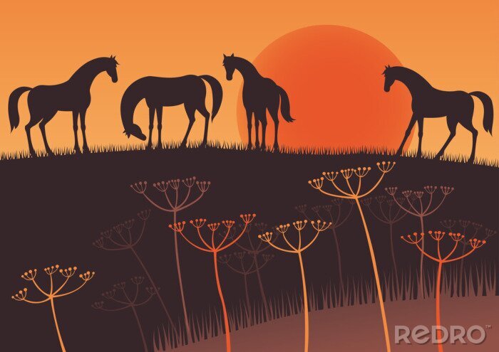Sticker  Silhouettes de chevaux et graphiques de soleil couchant