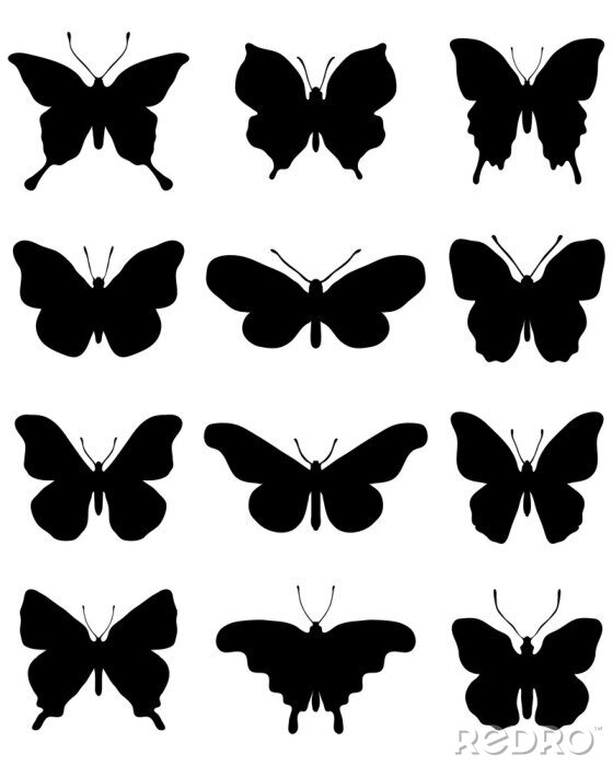 Sticker  Silhouettes de papillons noirs