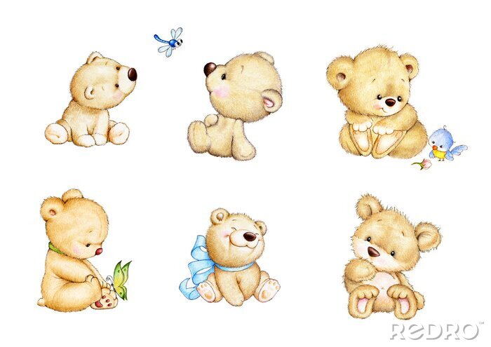 Sticker  Six ours, un papillon, une libellule et un oiseau