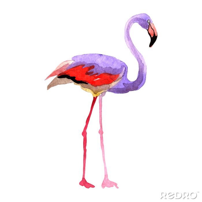 Sticker  Sky bird flamingo dans une vie sauvage par vectorr style isolé. Liberté sauvage, oiseau aux ailes volantes. Aquarelle pour l'arrière-plan, la texture, le motif, le cadre, la bordure ou le tatouage.