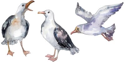 Sticker  Sky bird seagull in a wildlife. Watercolor background illustration set. Isolated gull illustration element.