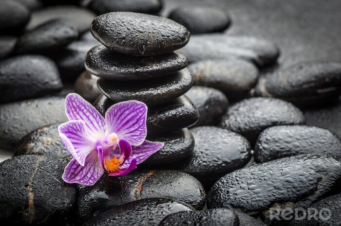 Sticker  spa concept zen pierres de basalte et orchidée