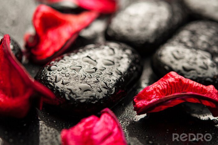 Sticker  spa de fond. pierres noires et des pétales rouges avec des gouttelettes d'eau