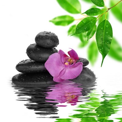 Sticker  spa de fond pierres noires sur l'eau