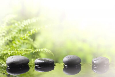 Sticker  Spa encore la vie