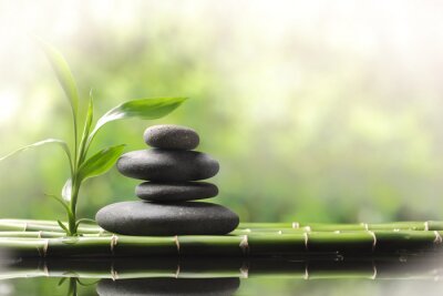 Sticker  Spa encore la vie