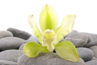 Sticker  Spa essentiel pyramide de pierres avec des orchidées