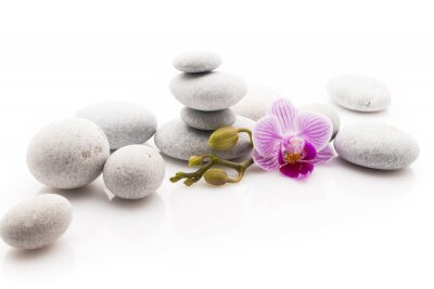 Sticker  Spa pierres.