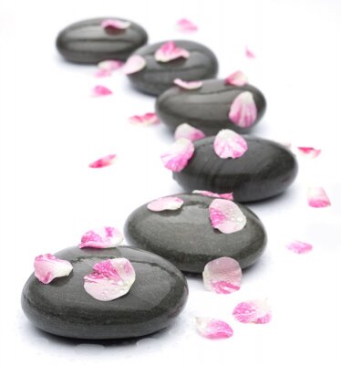 Sticker  Spa pierres avec des pétales de rose sur fond blanc.