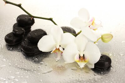 Sticker  Spa pierres et de fleurs d'orchidée, isolé sur blanc.