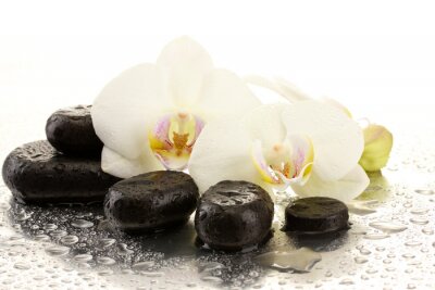 Spa pierres et des fleurs d'orchidées, isolé sur blanc.