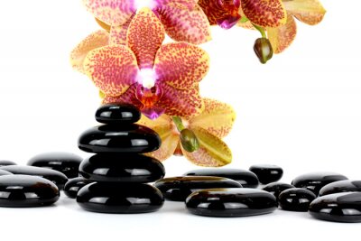 Sticker  Spa pierres et des fleurs d'orchidées sur blanc ...