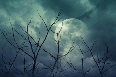 Sticker  Spooky forêt avec la pleine lune, les arbres morts, Halloween fond