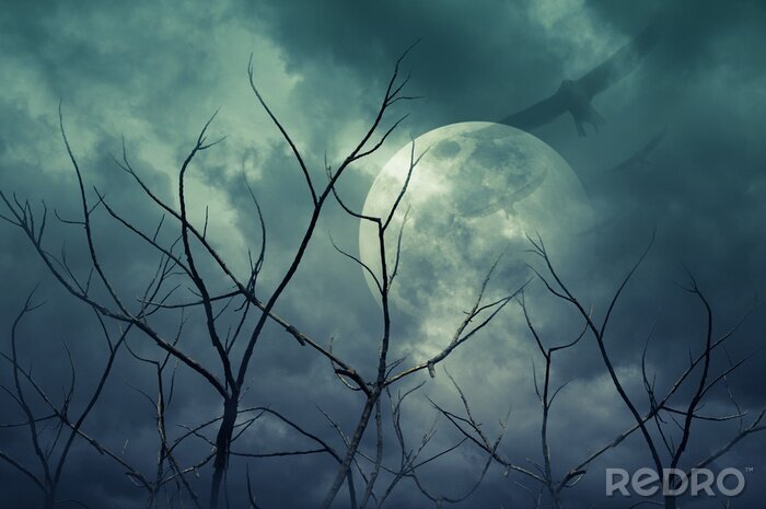 Sticker  Spooky forêt avec la pleine lune, les arbres morts, Halloween fond