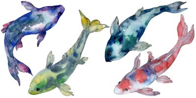 Sticker  Spotted aquatic underwater colorful tropical fish set. Watercolor background set. Isolated fish illustration element.