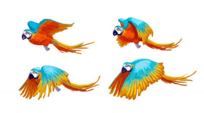 Sticker  Sprite sheet of flying parrot, game art animation