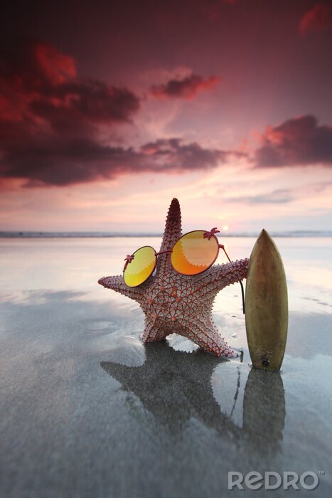 Sticker  Starfish, surfer, plage